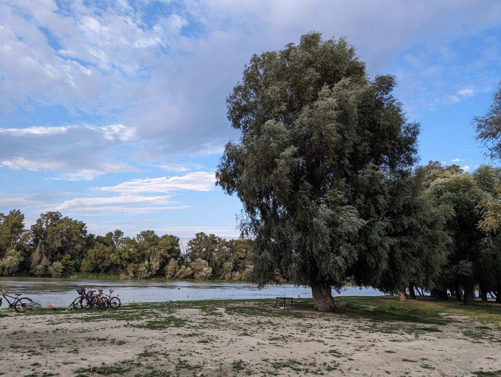 Palkovics Vendeghaz Dunabogdány Dış mekan fotoğraf